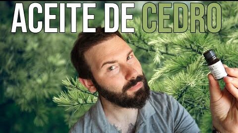 Aceite esencial de cedro del Himalaya: beneficios y aplicaciones