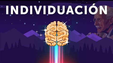 ¿Qué es la individuación y por qué es importante?