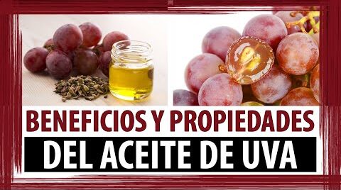 Beneficios y usos del aceite esencial de semilla de uva