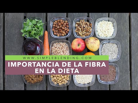 ¿Cuál es la importancia de añadir fibra en las dietas?
