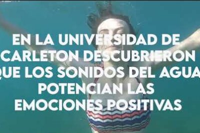 ¿Por qué los sonidos de la naturaleza benefician la salud?