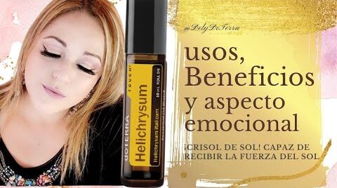 Aceite esencial de helicriso: posibles beneficios y precauciones de uso