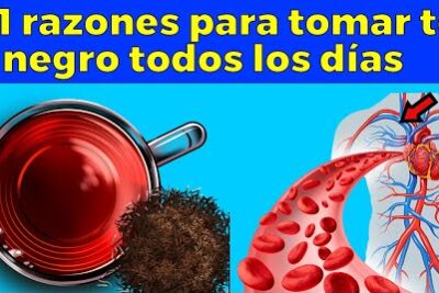 10 beneficios del té negro según la evidencia científica