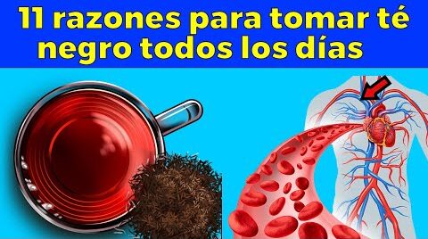 10 beneficios del té negro según la evidencia científica