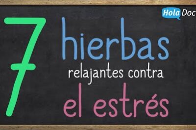 7 plantas adaptógenas para combatir el estrés