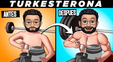 Turkesterona para ganar masa muscular: beneficios y cómo tomarla