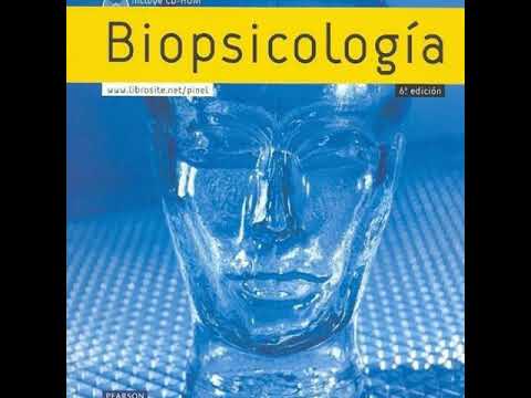 ¿Qué es la biopsicología y para qué sirve?