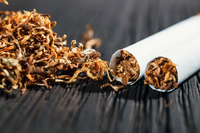 Imagen de una molécula de nicotina con cigarrillos y hojas de tabaco, ilustrando su origen y efectos.