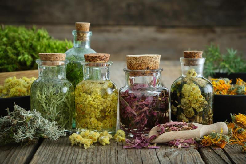 Frascos de vidrio con tinturas madre caseras junto a hierbas frescas y secas, representando la preparación natural y artesanal.