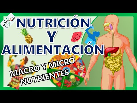 ¿Cómo la nutrición es importante para el cuidado personal?