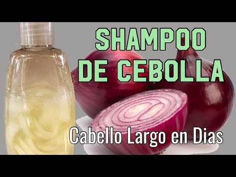 Champú de cebolla: todo lo que debes saber