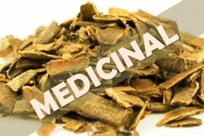 Té de sasafrás: todo lo que debes saber antes de probarlo