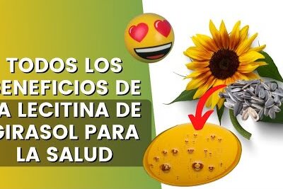 La lecitina de girasol tiene beneficios para tu cuerpo, mira cómo se usa