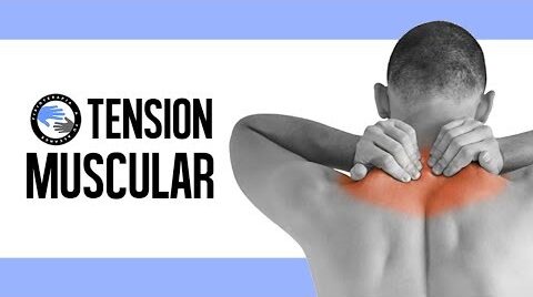 Importancia de la tensión muscular en el entrenamiento