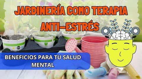 Mira 5 beneficios que la jardinería tiene para tu salud mental y emocional
