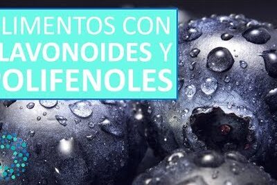 5 alimentos que contienen flavonoides