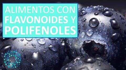 5 alimentos que contienen flavonoides